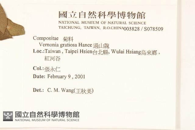 過山龍藏品圖，第2張