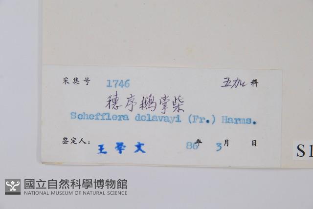 Accession Number:S019619 Collection Image, Figure 2, Total 2 Figures