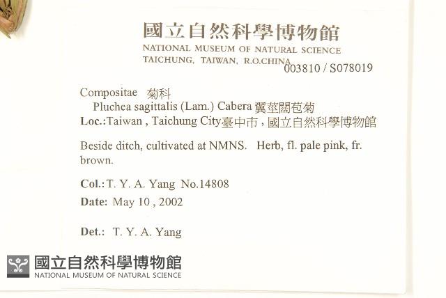 Accession Number:S078019 Collection Image, Figure 2, Total 2 Figures