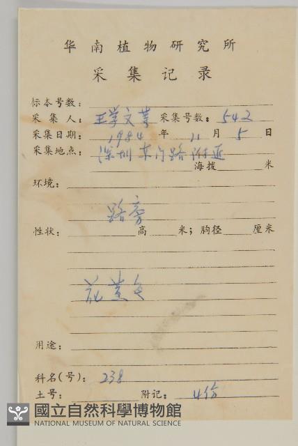 白花鬼針藏品圖，第2張