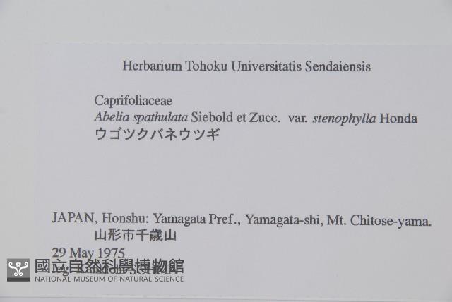 登錄號:S058719藏品圖，第2張