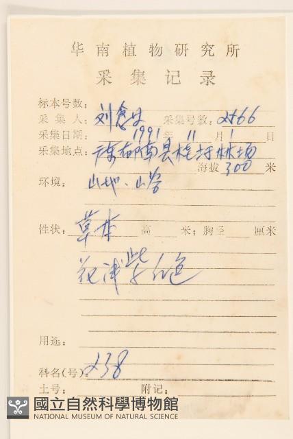 野茼蒿藏品圖，第2張