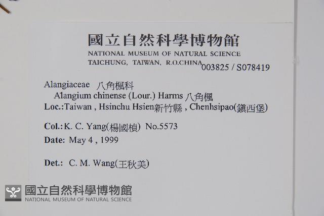 八角楓藏品圖，第2張