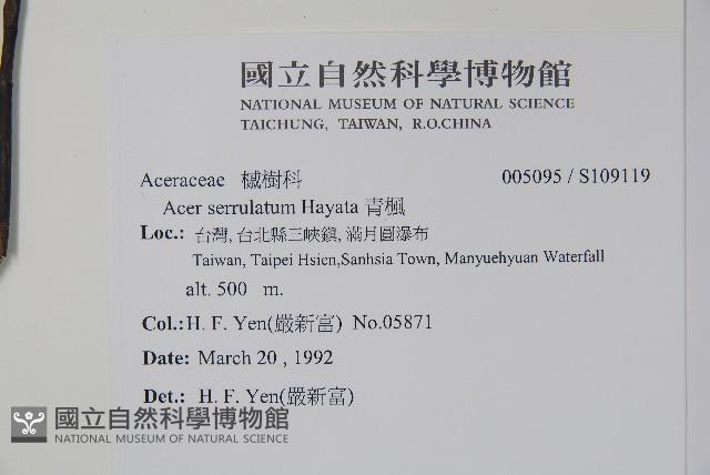 青楓藏品圖，第2張