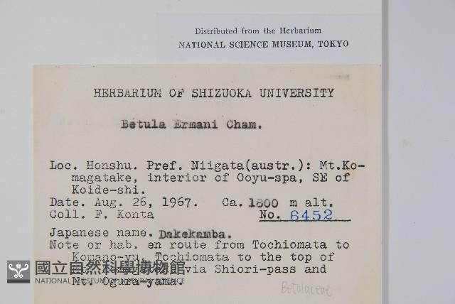 岳樺藏品圖，第2張