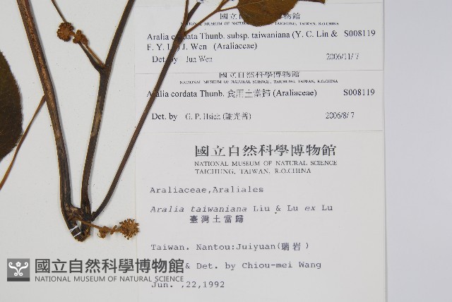 登錄號:S008119藏品圖，第2張