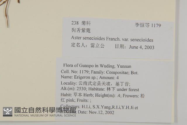 雲南裂稃草藏品圖，第2張