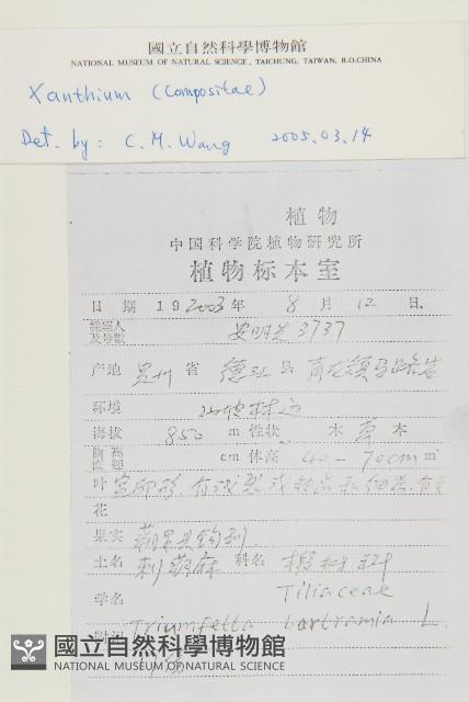 登錄號:S099319藏品圖，第2張