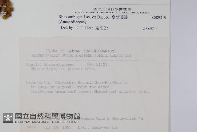 臺灣藤漆藏品圖，第2張