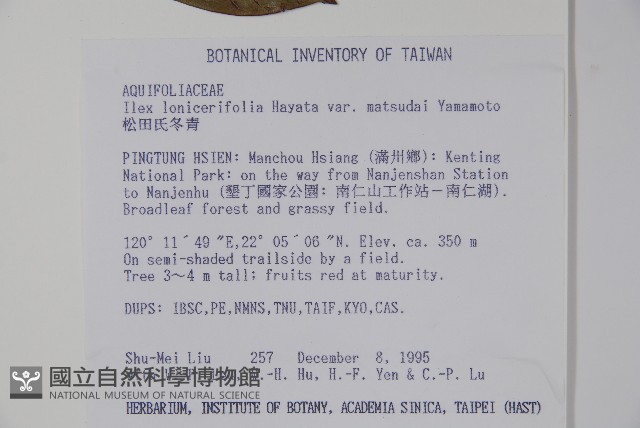 松田氏冬青藏品圖，第2張