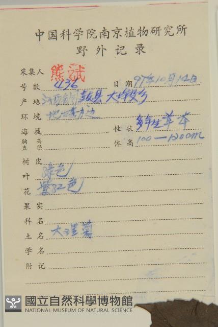 大麗花藏品圖，第2張