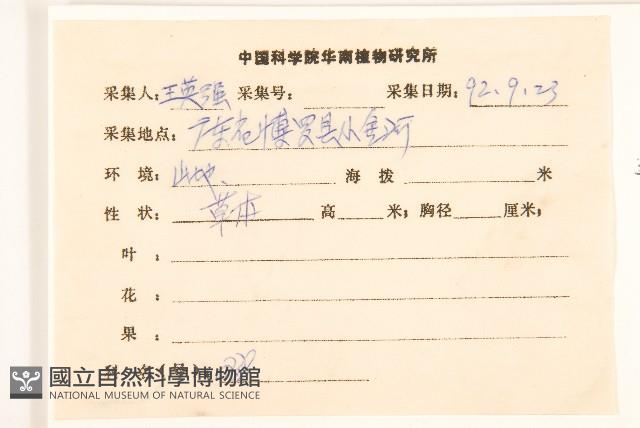 金腰箭藏品圖，第2張