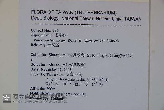 紅子莢迷藏品圖，第2張