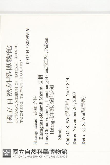 宜梧藏品圖，第2張