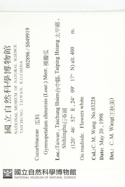 裸瓣瓜藏品圖，第2張