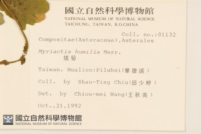 Accession Number:S008919 Collection Image, Figure 2, Total 2 Figures