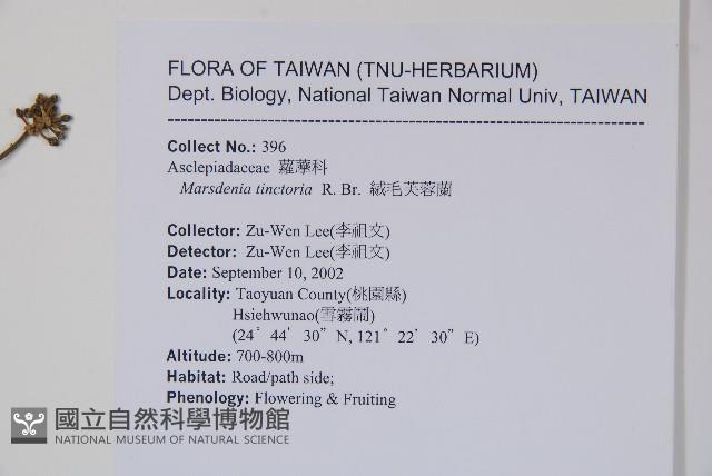 絨毛芙蓉蘭藏品圖，第2張