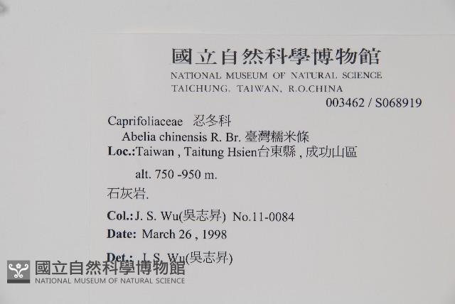 臺灣糯米條藏品圖，第2張