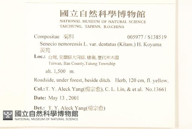 黃菀藏品圖，第2張