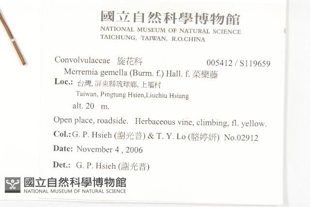 菜欒藤藏品圖，第2張