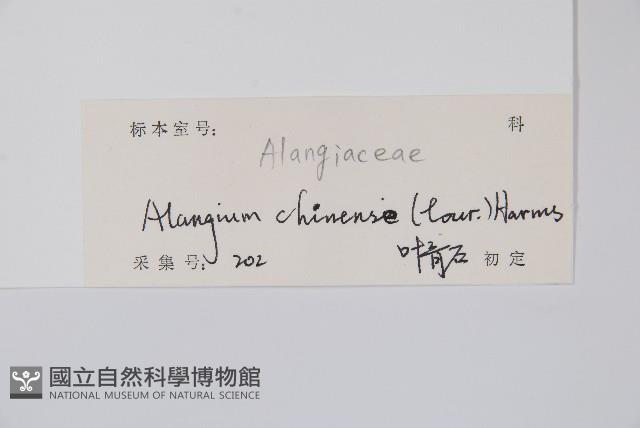 八角楓藏品圖，第2張