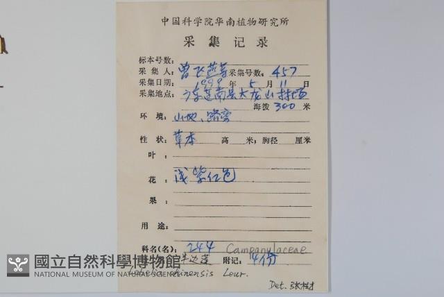 半邊蓮、鐮磨仔草藏品圖，第2張