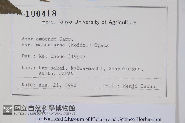 登錄號:S128059藏品圖，第2張