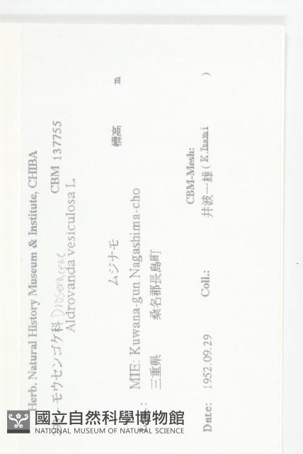 登錄號:S108059藏品圖，第2張