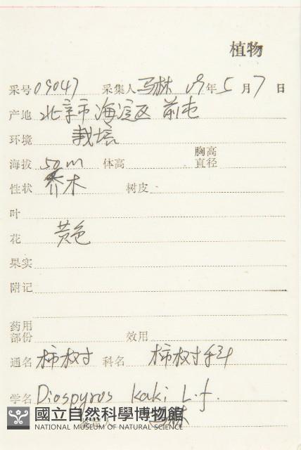 柿、柿仔、紅柿藏品圖，第2張