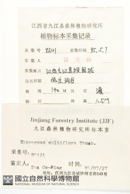 木半夏藏品圖，第2張