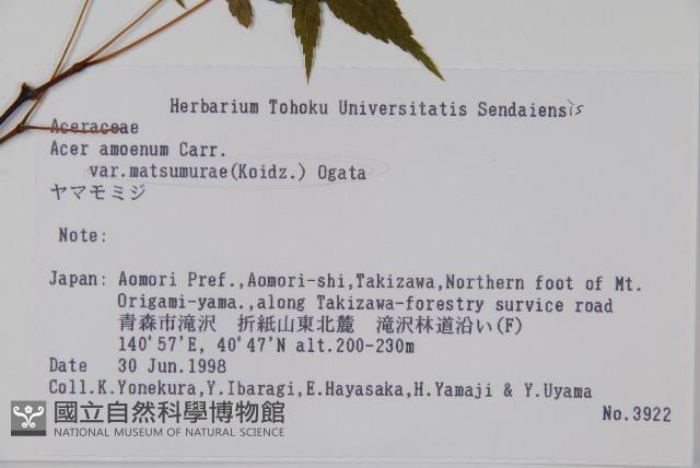 登錄號:S058759藏品圖，第2張