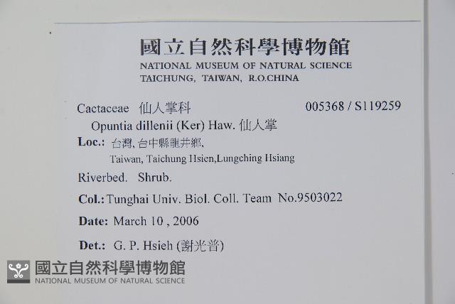 仙人掌藏品圖，第2張