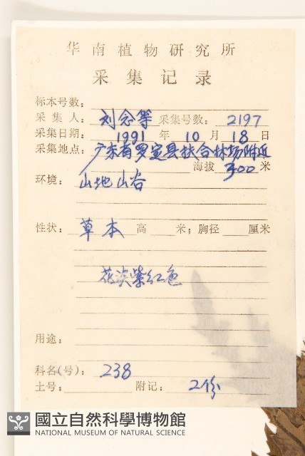 飛機草藏品圖，第2張