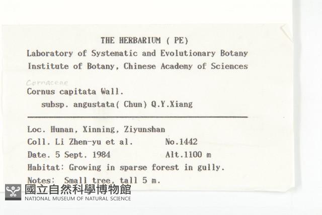 Accession Number:S019159 Collection Image, Figure 2, Total 2 Figures
