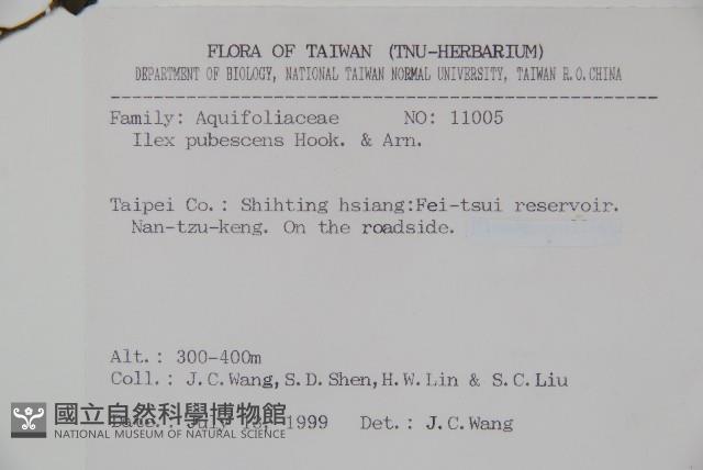 密毛假黃楊藏品圖，第2張