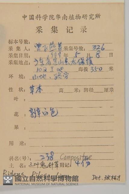 白花鬼針藏品圖，第2張