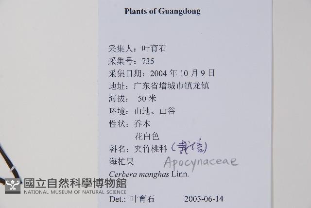 海檬果藏品圖，第2張