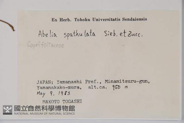 登錄號:S058699藏品圖，第2張