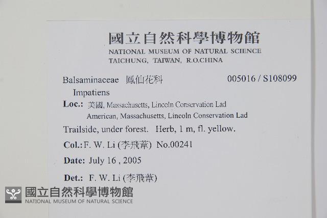 登錄號:S108099藏品圖，第2張