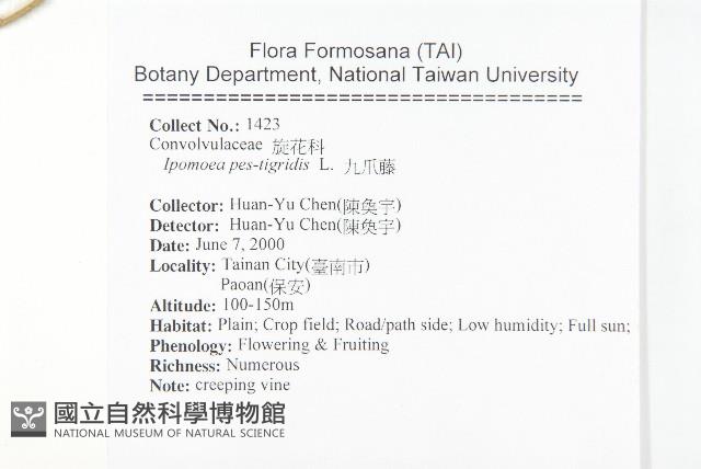 九爪藤藏品圖，第2張