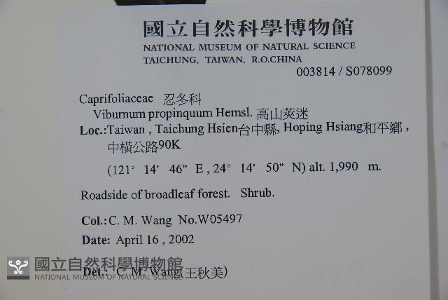 高山莢迷藏品圖，第2張