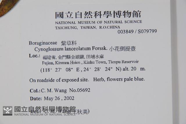 小花倒提壺藏品圖，第2張