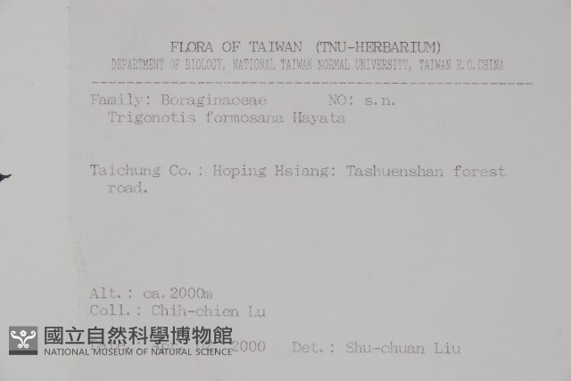 臺灣附地草藏品圖，第2張