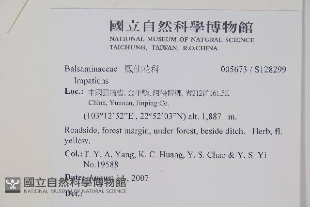 登錄號:S128299藏品圖，第2張