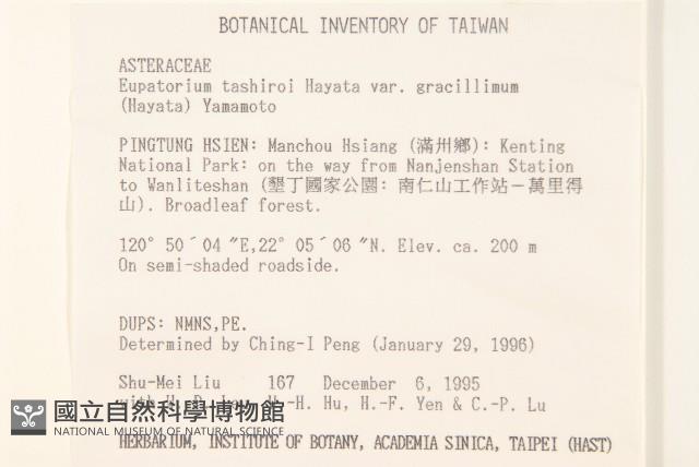 木澤蘭藏品圖，第2張