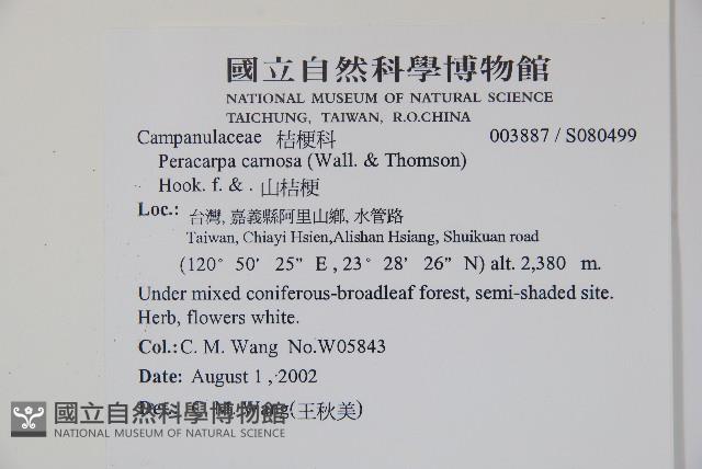 山桔梗藏品圖，第2張