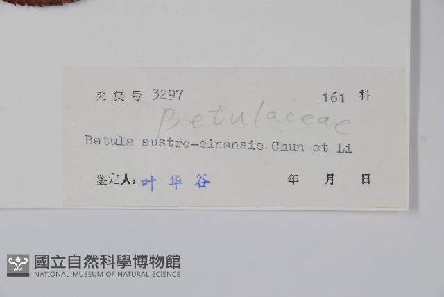 華南樺藏品圖，第2張