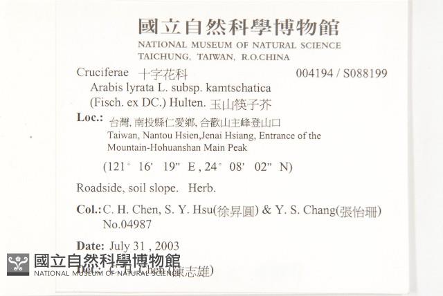 玉山筷子芥藏品圖，第5張