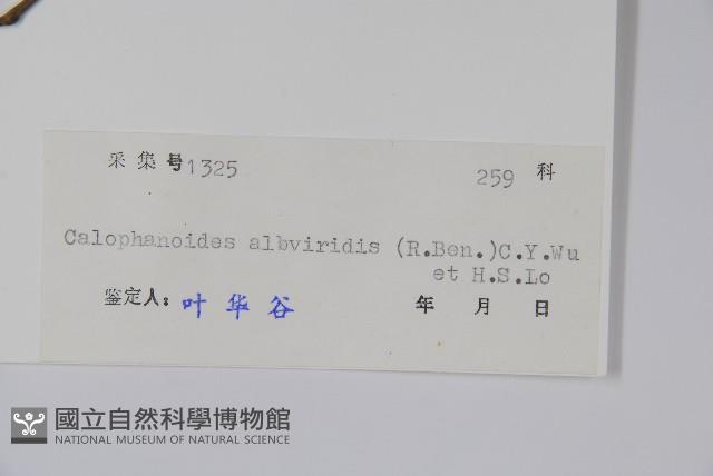 登錄號:S041899藏品圖，第2張