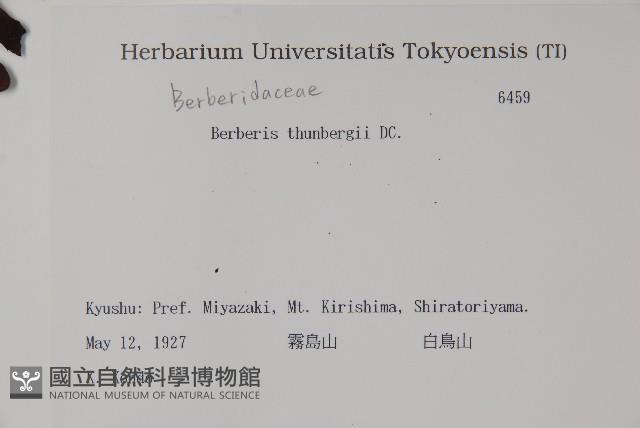 日本小檗藏品圖，第2張